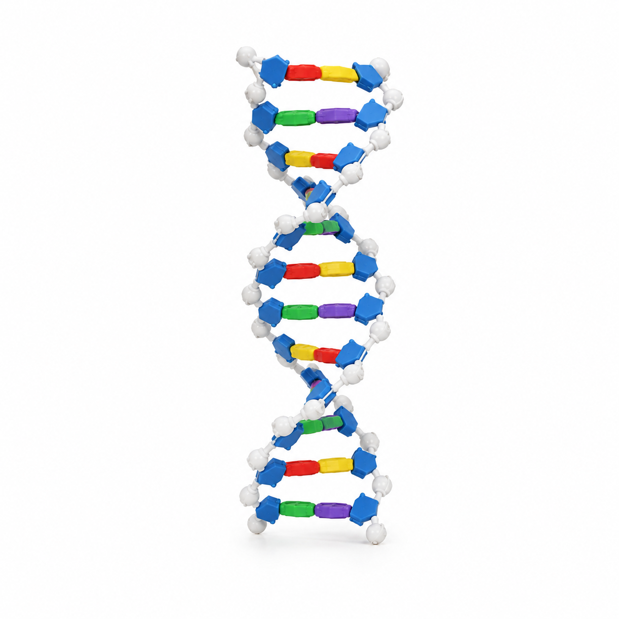 DIY DNA Double-Helix Model Kit